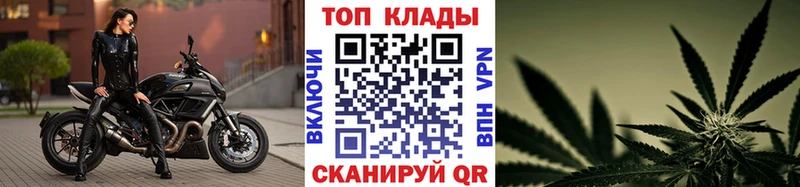 Где купить наркотики Ржев Cocaine  Меф  Альфа ПВП  Бошки Шишки  ГАШ 