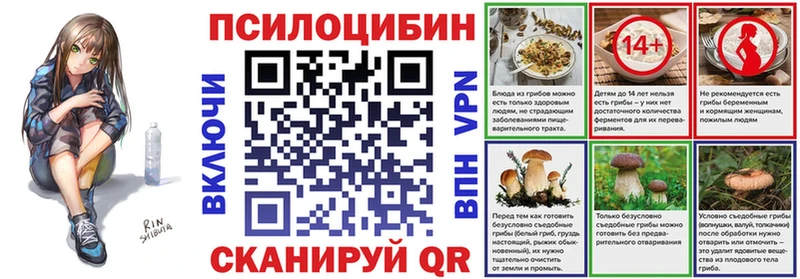 Галлюциногенные грибы Psilocybe  магазин  наркотиков  Ржев 